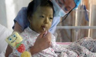 小精灵宠物医院 小精灵宠物医院