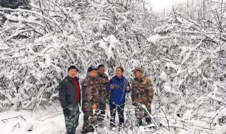 逆水寒帮派熊猫尿尿怎么弄 野生大熊猫倒立撒尿