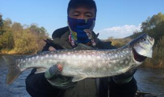 钓鱼发烧友怎么钓到ix级别的鱼 钓鱼发烧友攻略最新