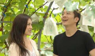 真情满天下大结局 真情满天下大结局