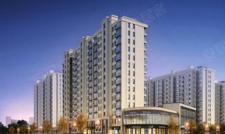 上海应用技术大学有多少个博士点 上海应用科技学院