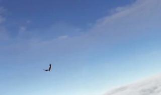 天刀手游大轻功怎么获得 天涯明月刀大轻功