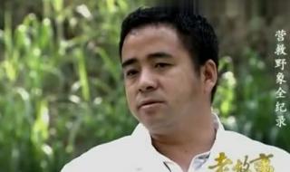 西双版纳野象伤人