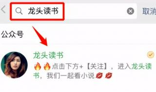 弃婿是叶辰的书名 上门女婿叶辰完整版