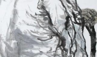 无锡市湖滨中学初中部怎么样 无锡湖滨中学