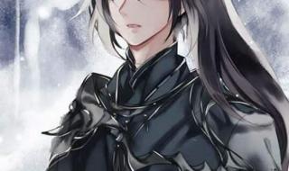 洛冰河x沈九叫作《入戏》 洛冰河把沈九做烂了